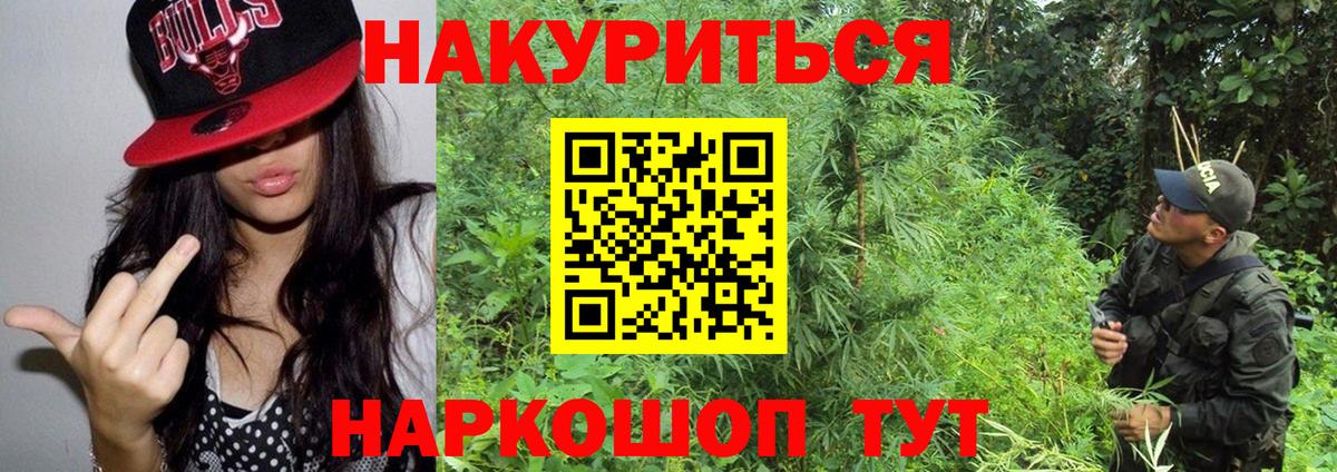 Конопля план  Канабис Ganja  Конопля ГИДРОПОН  Шишки марихуана планчик  Канаш  Вход с VPN 